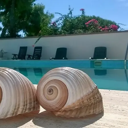 Don Vito * 拉卡里